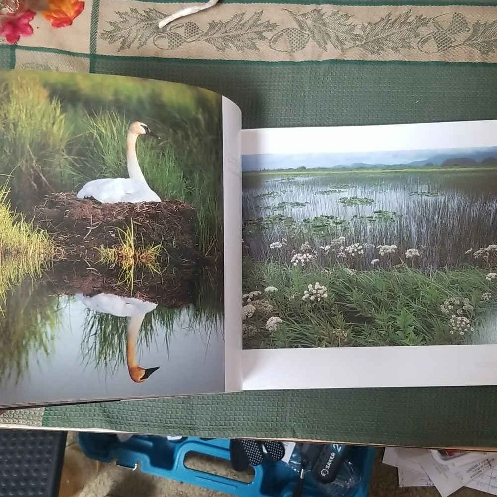 ⭐ALASKA BOOK - Picture 5 of 9